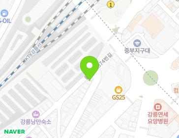 강원특별자치도 강릉시 강릉대로269번길 17 (교동) 지도