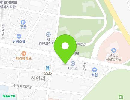 강원특별자치도 고성군 간성읍 간성로 23 (수안의원,CU,피자스쿨) 지도