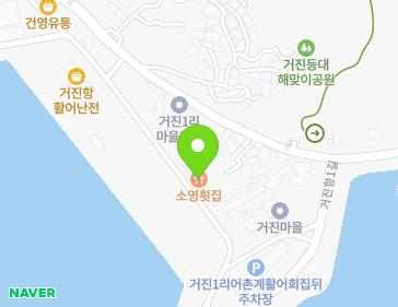 강원특별자치도 고성군 거진읍 거진항1길 55 (소영횟집) 지도