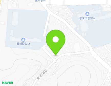 강원특별자치도 동해시 송이고개길 12 (발한동) 지도
