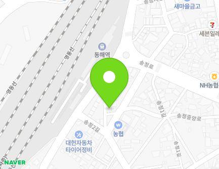 강원특별자치도 동해시 동해역길 62-4 (송정동, 송정자율방범대) 지도