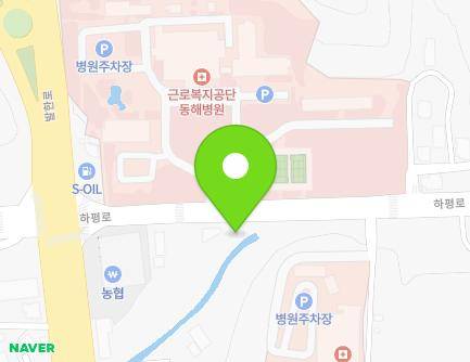 강원특별자치도 동해시 하평로 14 (평릉동, 조은약국) 지도