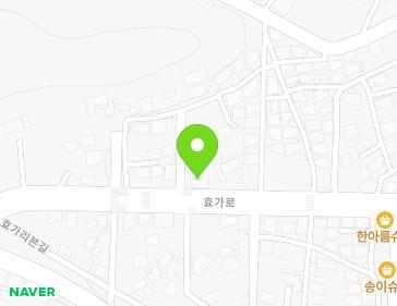 강원특별자치도 동해시 효가로 42 (효가동, 대신택배) 지도