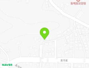 강원특별자치도 동해시 효가로 50-8 (효가동, 동해수산) 지도