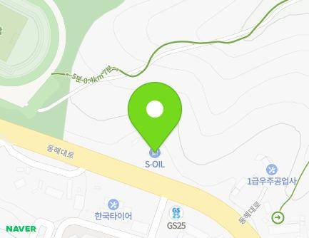 강원특별자치도 삼척시 동해대로 4190 (교동, 삼척주유소) 지도