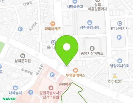 강원특별자치도 삼척시 오십천로 419 (남양동, 종로약국) 지도