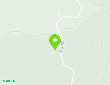 강원특별자치도 삼척시 도계읍 흥전안길 392 지도