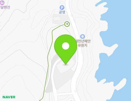 강원특별자치도 삼척시 새천년도로 219 (정하동, 펠리스호텔) 지도
