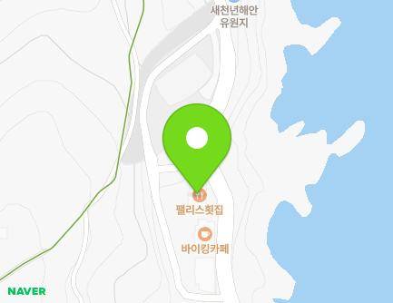 강원특별자치도 삼척시 새천년도로 199 (정하동, 펠리스횟집) 지도