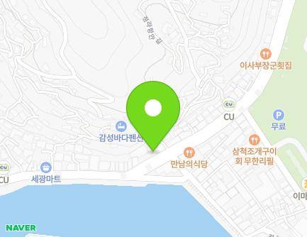 강원특별자치도 삼척시 새천년도로 79 (정하동, 평남건어물직판장) 지도