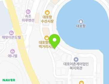 강원특별자치도 속초시 대포항희망길 49-1 (대포동) 지도