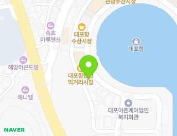 강원특별자치도 속초시 대포항희망길 51 (대포동) 지도