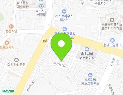 강원특별자치도 속초시 장안로1길 17-5 (동명동) 지도