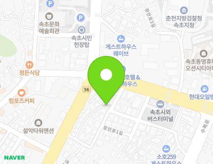 강원특별자치도 속초시 장안로1길 8 (동명동) 지도