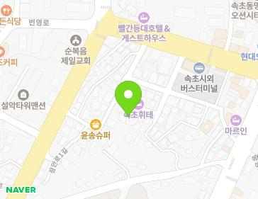 강원특별자치도 속초시 장안로1길 17-8 (동명동) 지도
