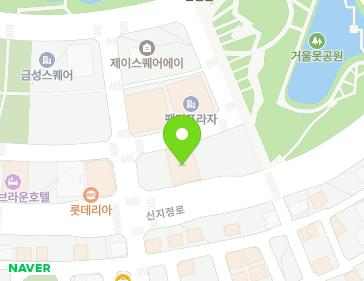 강원특별자치도 원주시 지정면 신지정로 172 지도