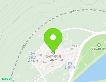 강원특별자치도 정선군 남면 멀미길 33 (무릉아파트) 지도