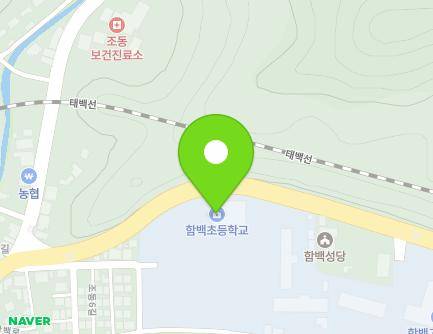 강원특별자치도 정선군 신동읍 조동6길 17-12 (함백초등학교) 지도