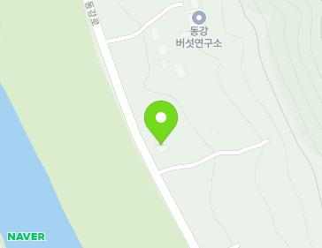 강원특별자치도 정선군 정선읍 동강로 1982-5 지도