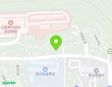 강원특별자치도 정선군 정선읍 비봉안길 45 지도