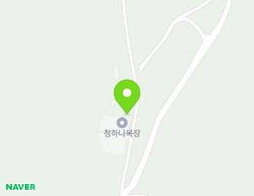 강원특별자치도 철원군 김화읍 청하골길 124 (청하나목장) 지도