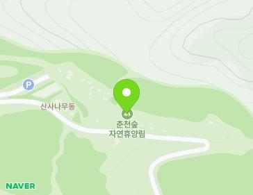 강원특별자치도 춘천시 동산면 종자리로 224-104 (춘천숲자연휴양림) 지도