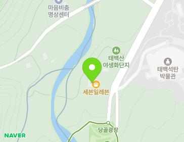 강원특별자치도 태백시 천제단길 204 (소도동) 지도