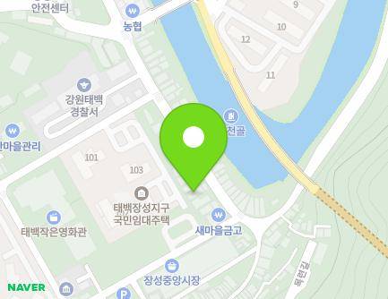 강원특별자치도 태백시 장성로 40-1 (장성동, 동산의원) 지도