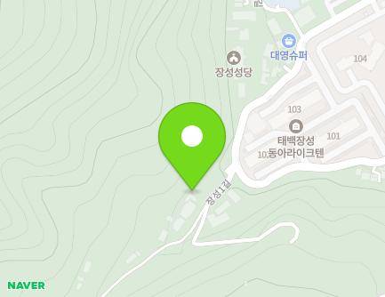 강원특별자치도 태백시 장성1길 102-4 (장성동, 수녀원어린이집) 지도