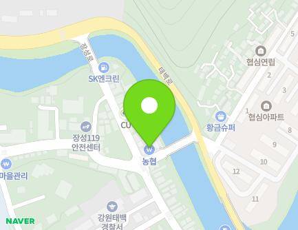 강원특별자치도 태백시 장성로 19-1 (장성동, 농협장성지소) 지도