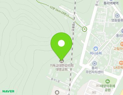 강원특별자치도 태백시 통리1길 69-14 (통동, 대명교회) 지도