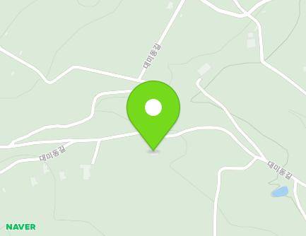 강원특별자치도 평창군 방림면 대미동길 455-21 지도