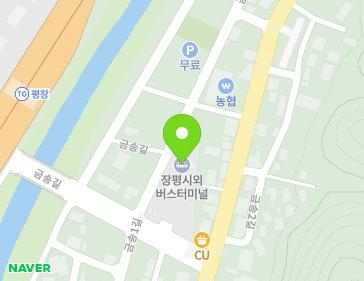 강원특별자치도 평창군 용평면 금송길 6 (장평터미널) 지도