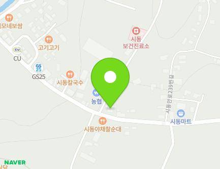 강원특별자치도 홍천군 남면 시동안로 229 (시동우체국) 지도