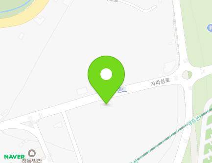 경기도 가평군 가평읍 자라섬로 30 지도