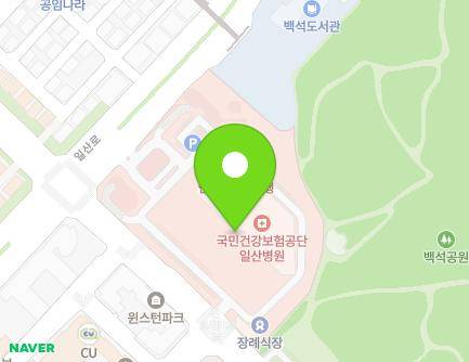 경기도 고양시 일산동구 일산로 100 (백석동, 일산병원) 지도