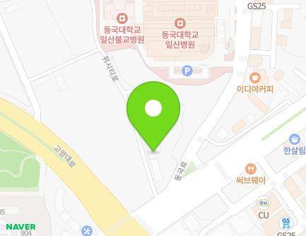 경기도 고양시 일산동구 위시티로 3-8 (식사동) 지도