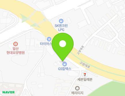 경기도 고양시 일산동구 고양대로 952 (식사동, 신우주유소) 지도