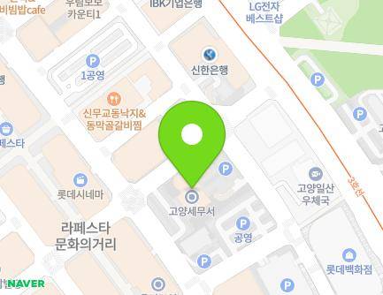 경기도 고양시 일산동구 중앙로1275번길 14-43 (장항동, 고양세무서) 지도