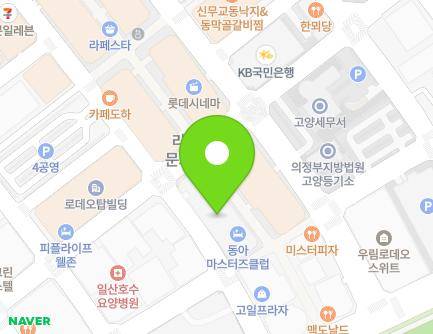 경기도 고양시 일산동구 중앙로1275번길 60-30 (장항동, 라페스타B) 지도
