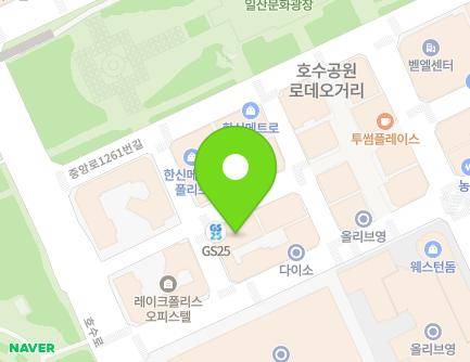 경기도 고양시 일산동구 정발산로 11 (장항동, 일호골든타워) 지도