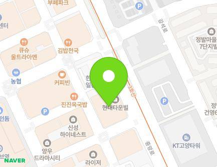 경기도 고양시 일산동구 중앙로 1233 (장항동, 현대타운빌) 지도
