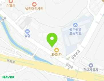경기도 광주시 신현로 121 (신현동) 지도