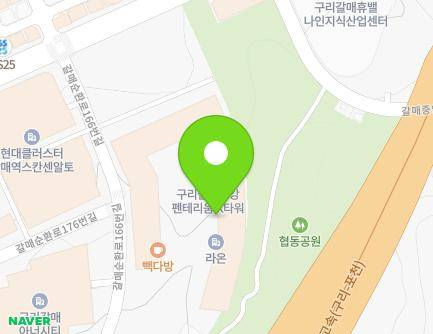 경기도 구리시 갈매순환로166번길 46 (갈매동, 금강펜테리움IX타워지식산업센터) 지도