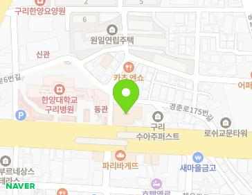 경기도 구리시 경춘로 163 (교문동, 구리노블하임오피스텔) 경기도 구리시 경춘로 163 (교문동, 구리노블하임오피스텔) 지도