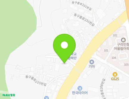 경기도 구리시 동구릉로 217-9 (인창동) 지도