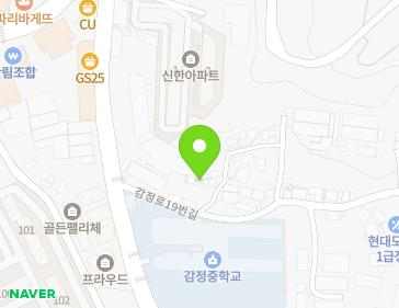 경기도 김포시 감정로19번길 13-3 (감정동) 지도