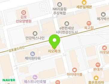 경기도 김포시 김포한강9로75번길 102 (구래동) 지도