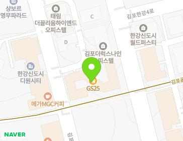 경기도 김포시 김포한강10로133번길 126 (구래동) 지도