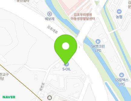 경기도 김포시 북변로 36 (북변동) 지도
